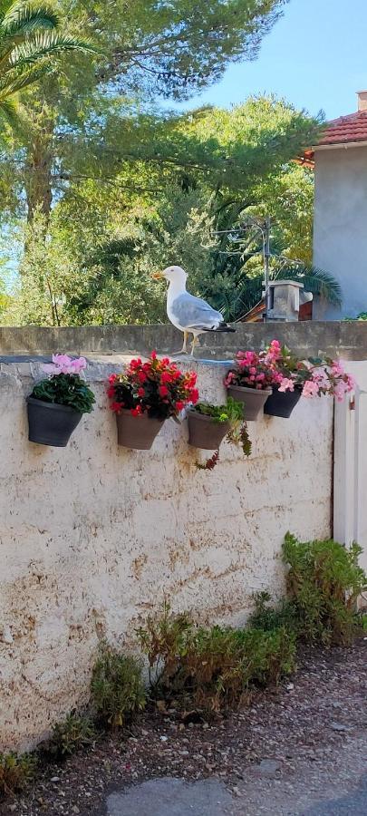 Joli Studio Les Pieds Dans L Eau Avec Place De Parking Gratuite Bandol Exteriér fotografie